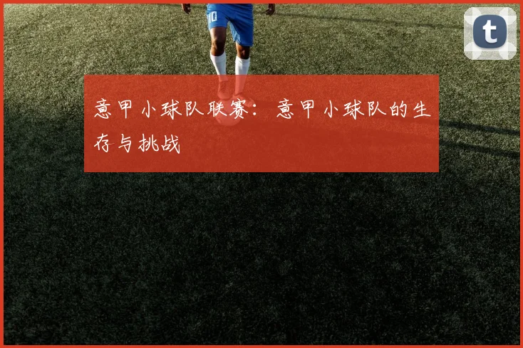 意甲小球队联赛：意甲小球队的生存与挑战