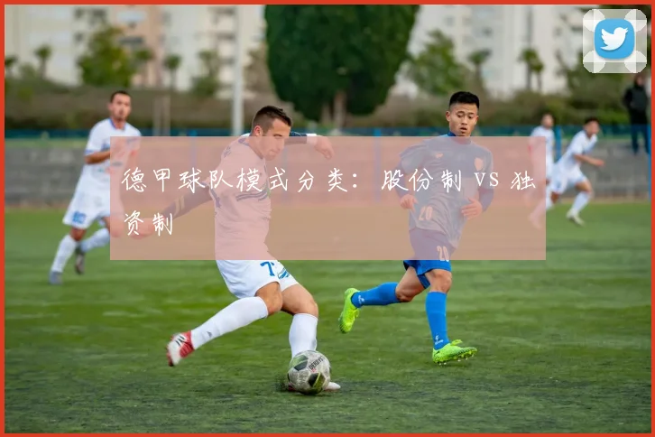 德甲球队模式分类：股份制 vs 独资制