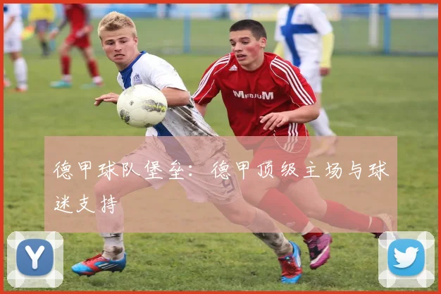 德甲球队堡垒：德甲顶级主场与球迷支持